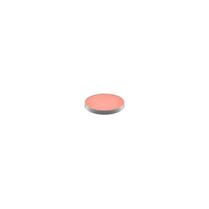 Paras Hinta Eye Shadow Pro Palette Refill